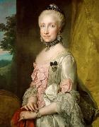 Anton Raphael Mengs Portrait of Maria Luisa of Spain oil painting